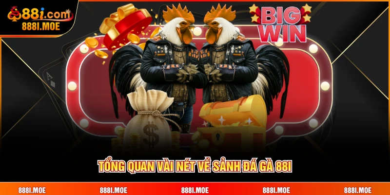 Tổng quan vài nét về sảnh Đá Gà 88I